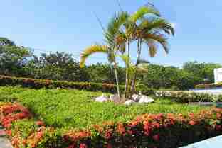 Paisagismo e Jardinagem